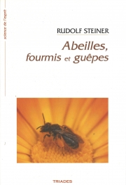 Abeilles, fourmis et guêpes