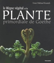 La plante primordiale de Goethe et le règne végétal