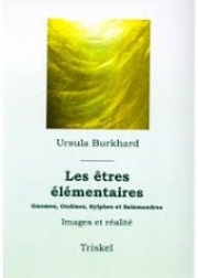 Les êtres élémentaires