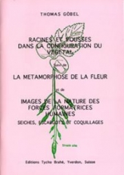 Racines et pousses