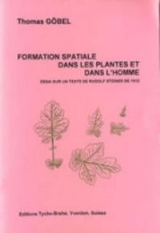Formation spatiale dans la plante et dans l'homme