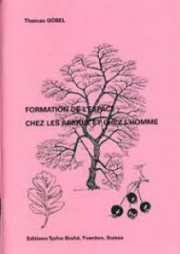 Formation de l'espace chez les arbres et chez l'homme