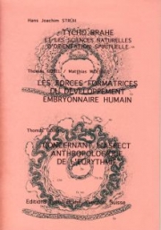 Forces formatrices du développement embryonnaire humain