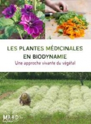 Les plantes médicinales en biodynamie